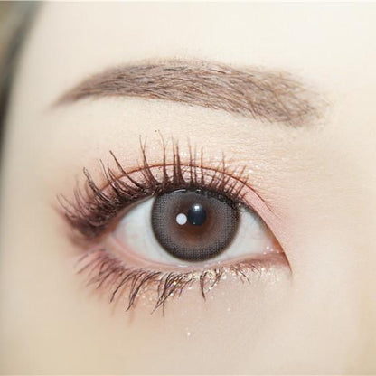 1pair Natural Gray Choco Colored Contact Lenses 14.2mm Softlens 12months